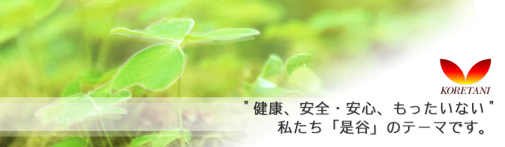 株式会社是谷